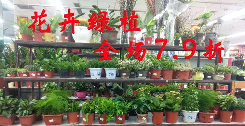 年卉盛宴 花卉賀新年，全場7.9折送好禮